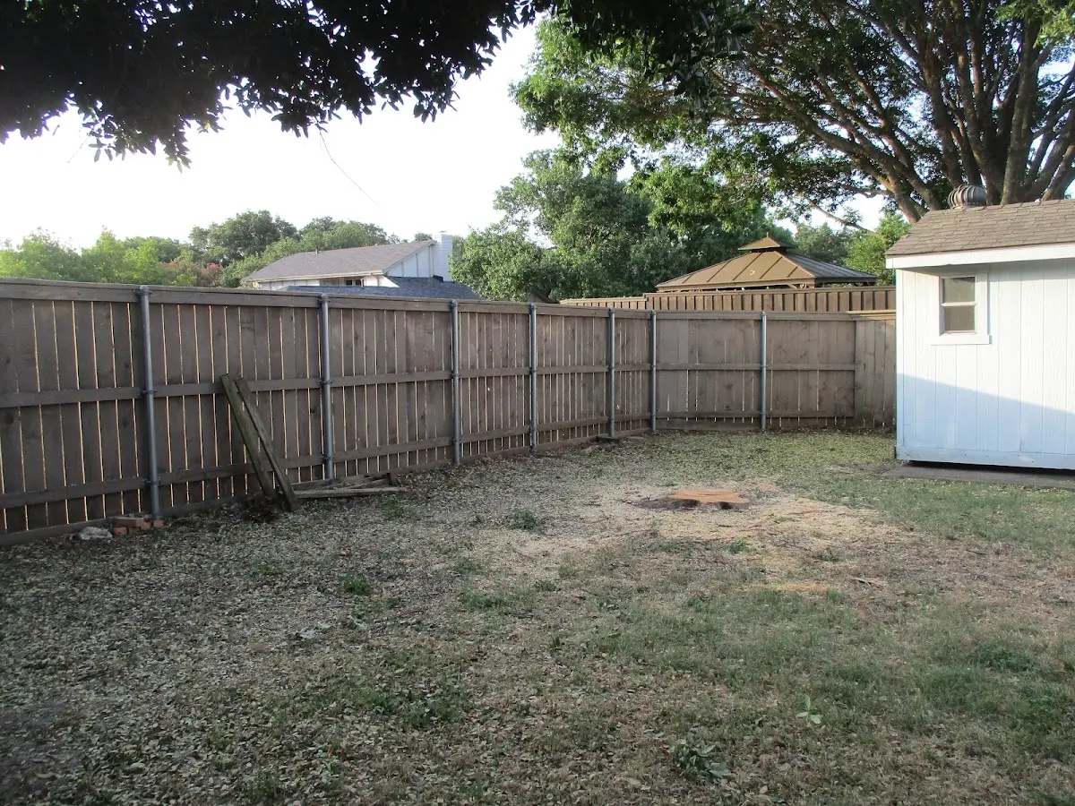 Cleared yard after professional tree removal in Lublin